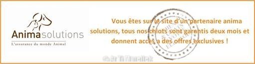 anima_solutions