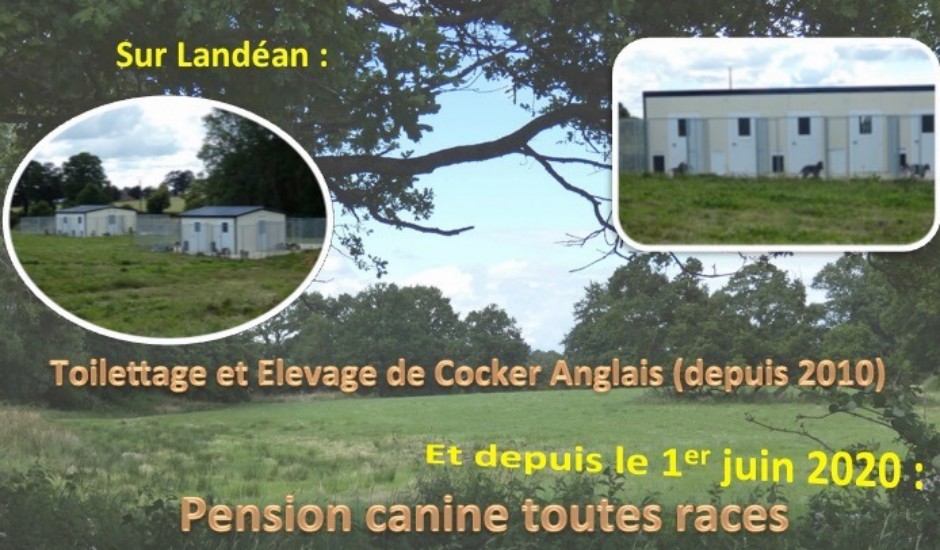 accueil.jpg