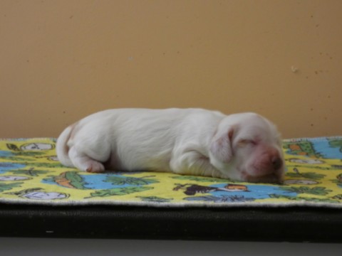 f2